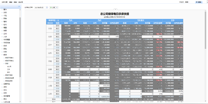 中荷人壽數據分析平臺建設每日承保快照